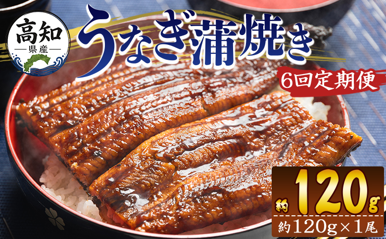 【６回定期便】高知県産養殖うなぎ蒲焼き 100～120g 1尾 うなぎ 魚介 国産 海鮮 魚 かばやき 鰻 ウナギ 惣菜 おかず お手軽 加工品 加工食品 冷凍 Wfb-0035