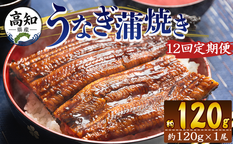 【１２回定期便】高知県産養殖うなぎ蒲焼き 100～120g 1尾 うなぎ 魚介 国産 海鮮 魚 かばやき 鰻 ウナギ 惣菜 おかず お手軽 加工品 加工食品 冷凍 Wfb-0036