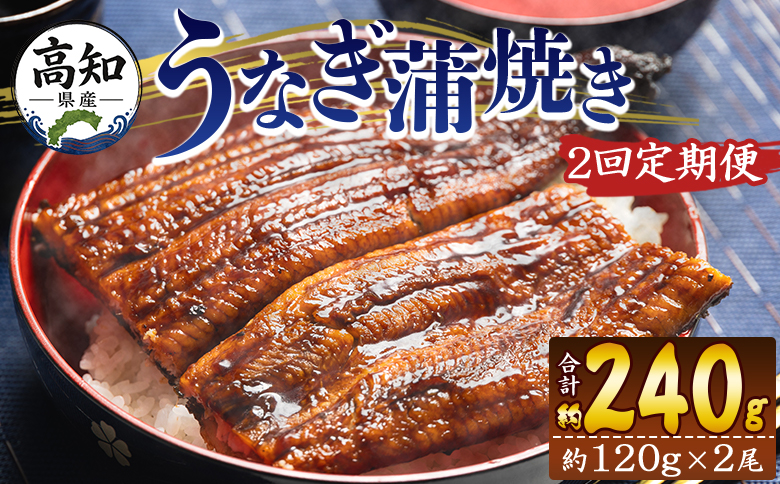 【２回定期便】高知県産養殖うなぎ蒲焼き 100～120g 2尾 うなぎ 魚介 国産 海鮮 魚 かばやき 鰻 ウナギ 惣菜 おかず お手軽 加工品 加工食品 冷凍 Wfb-0037