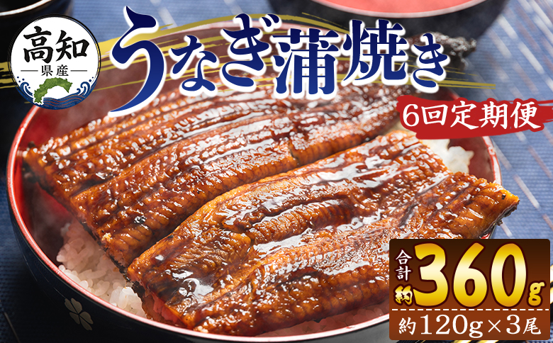 【６回定期便】高知県産養殖うなぎ蒲焼き 100～120g 3尾 うなぎ 魚介 国産 海鮮 魚 かばやき 鰻 ウナギ 惣菜 おかず お手軽 加工品 加工食品 冷凍 Wfb-0043