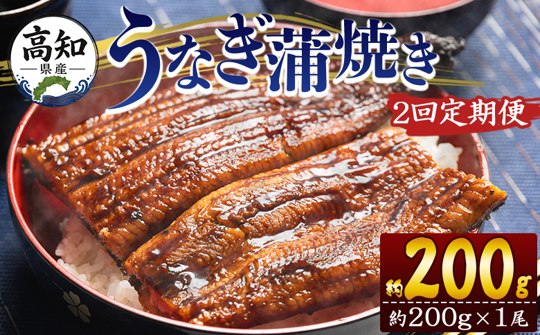 【２回定期便】高知県産養殖うなぎ蒲焼き 約200g×１尾 Wfb-0045