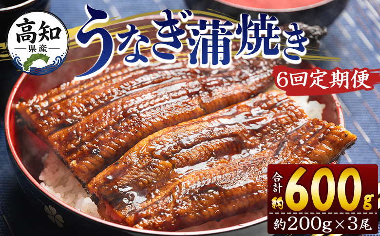 定期便 うなぎ 蒲焼き 約200g 3尾 6回 高知県産 養殖 魚介 国産 海鮮 魚 かばやき 鰻 ウナギ 惣菜 おかず お手軽 加工品 加工食品 冷凍 Wfb-0055