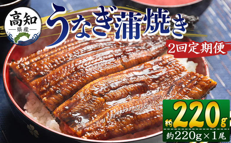 【２回定期便】高知県産養殖うなぎ蒲焼き 約220g×１尾 うなぎ 魚介 国産 海鮮 魚 かばやき 鰻 ウナギ 惣菜 おかず お手軽 加工品 加工食品 冷凍 Wfb-0057
