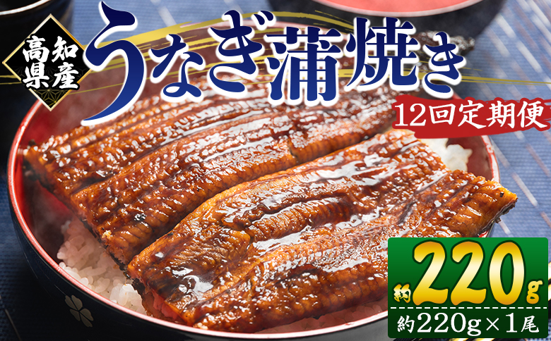 【１２回定期便】高知県産養殖うなぎ蒲焼き 約220g×１尾 うなぎ 魚介 国産 海鮮 魚 かばやき 鰻 ウナギ 惣菜 おかず お手軽 加工品 加工食品 冷凍 Wfb-0060