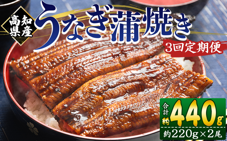 【３回定期便】高知県産養殖うなぎ蒲焼き 約220g×2尾 うなぎ 魚介 国産 海鮮 魚 かばやき 鰻 ウナギ 惣菜 おかず お手軽 加工品 加工食品 冷凍 Wfb-0062