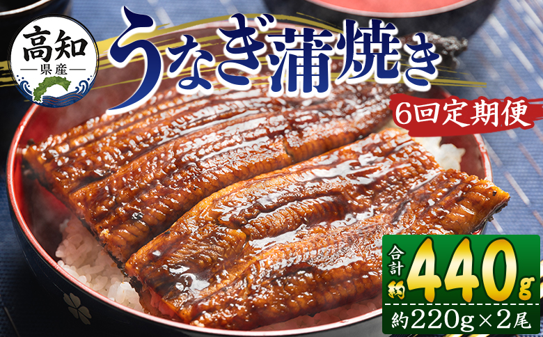 【６回定期便】高知県産養殖うなぎ蒲焼き 約220g×2尾 うなぎ 魚介 国産 海鮮 魚 かばやき 鰻 ウナギ 惣菜 おかず お手軽 加工品 加工食品 冷凍 Wfb-0063