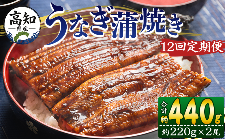 【１２回定期便】高知県産養殖うなぎ蒲焼き 約220g×2尾 うなぎ 魚介 国産 海鮮 魚 かばやき 鰻 ウナギ 惣菜 おかず お手軽 加工品 加工食品 冷凍 Wfb-0064