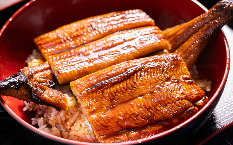 うなぎ蒲焼き 約200g×2尾(高知県産鰻) フジ物産 国産養殖 fb-0139