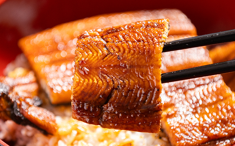 うなぎ蒲焼き 約200g×2尾(高知県産鰻) フジ物産 国産養殖 fb-0139