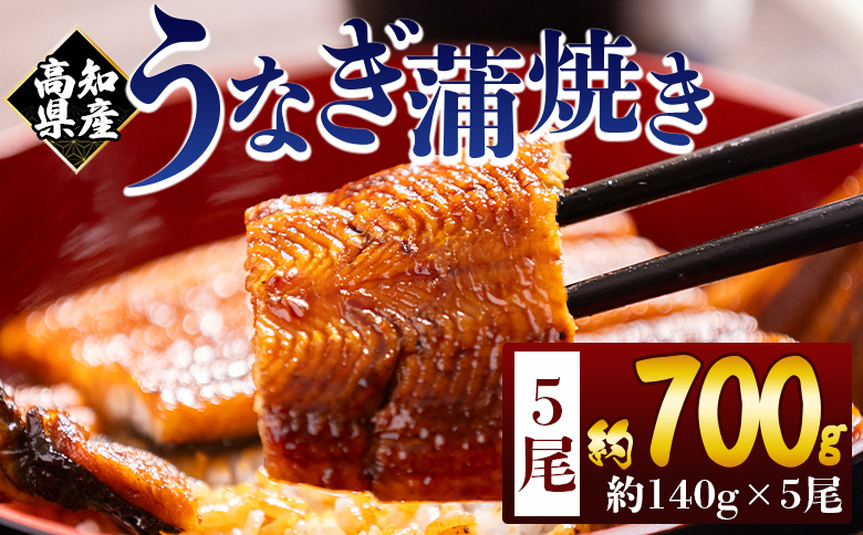 高知県産蒲焼きうなぎ 約140g 5尾 計約700g - 国産 鰻 ウナギ 養殖 かばやき タレ付き たれ おつまみ スタミナ 土用の丑の日 うな丼 うな重 丼ぶり 一品 おかず 香南市 冷凍 fb-0147