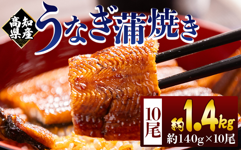 高知県産蒲焼きうなぎ 約140g 10尾 計約1400g - 国産 鰻 ウナギ 養殖 かばやき タレ付き たれ おつまみ スタミナ 土用の丑の日 うな丼 うな重 丼ぶり 一品 おかず 香南市 冷凍 fb-0150