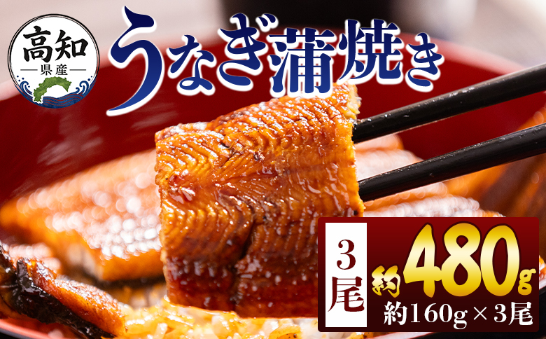 高知県産蒲焼きうなぎ 160g 3尾 計480g - 国産 鰻 ウナギ 養殖 かばやき タレ付き たれ おつまみ スタミナ 土用の丑の日 うな丼 うな重 丼ぶり 一品 おかず 香南市 冷凍 fb-0153