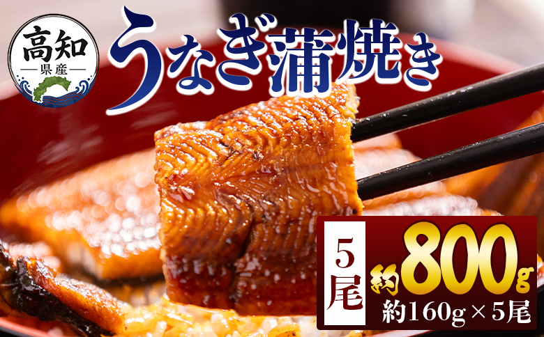 高知県産蒲焼きうなぎ 160g 5尾 計800g - 国産 鰻 ウナギ 養殖 かばやき タレ付き たれ おつまみ スタミナ 土用の丑の日 うな丼 うな重 丼ぶり 一品 おかず 香南市 冷凍 fb-0155