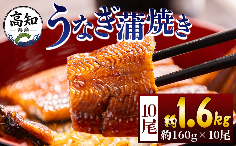 高知県産蒲焼きうなぎ 160g 10尾 計1600g - 国産 鰻 ウナギ 養殖 かばやき タレ付き たれ おつまみ スタミナ 土用の丑の日 うな丼 うな重 丼ぶり 一品 おかず 香南市 冷凍 fb-0158