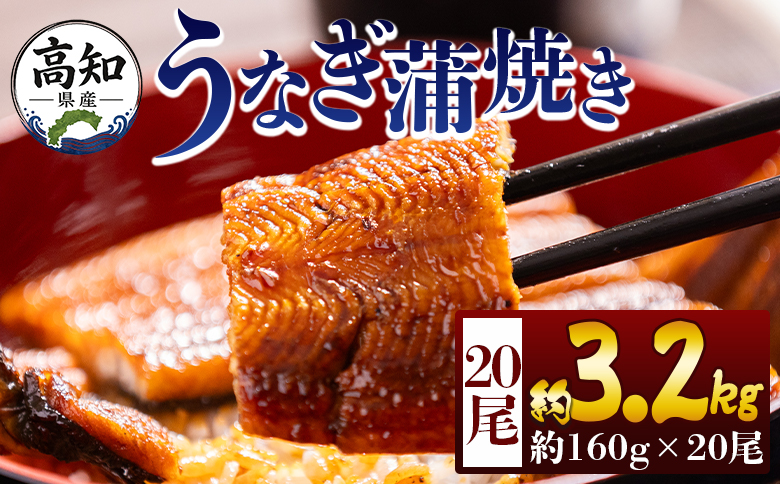 高知県産蒲焼きうなぎ 160g 20尾 計3200g - 国産 鰻 ウナギ 養殖 かばやき タレ付き たれ おつまみ スタミナ 土用の丑の日 うな丼 うな重 丼ぶり 一品 おかず 香南市 冷凍 fb-0185
