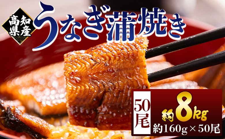 高知県産蒲焼きうなぎ 160g 50尾 計8000g - 国産 鰻 ウナギ 養殖 かばやき タレ付き たれ おつまみ スタミナ 土用の丑の日 うな丼 うな重 丼ぶり 一品 おかず 香南市 冷凍 fb-0187