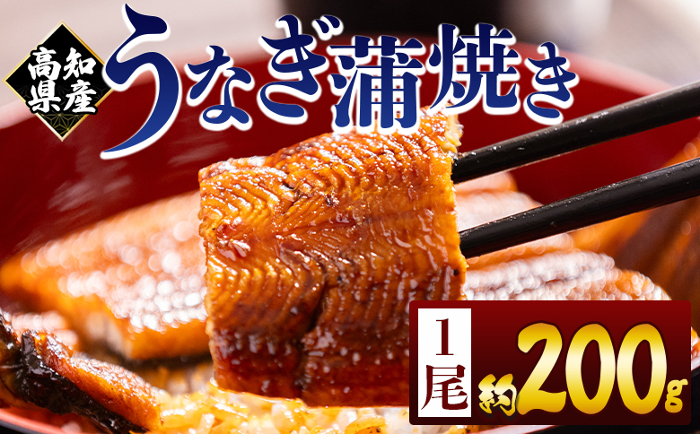高知県産蒲焼きうなぎ 200g 1尾 - 国産 鰻 ウナギ 養殖 かばやき タレ付き たれ おつまみ スタミナ 土用の丑の日 うな丼 うな重 丼ぶり 一品 おかず 香南市 冷凍 fb-0159