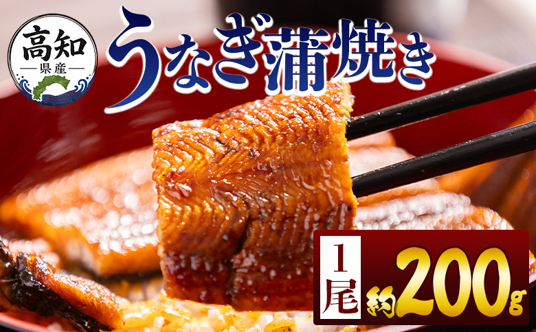 高知県産蒲焼きうなぎ 200g 1尾 - 国産 鰻 ウナギ 養殖 かばやき タレ付き たれ おつまみ スタミナ 土用の丑の日 うな丼 うな重 丼ぶり 一品 おかず 香南市 冷凍 fb-0159