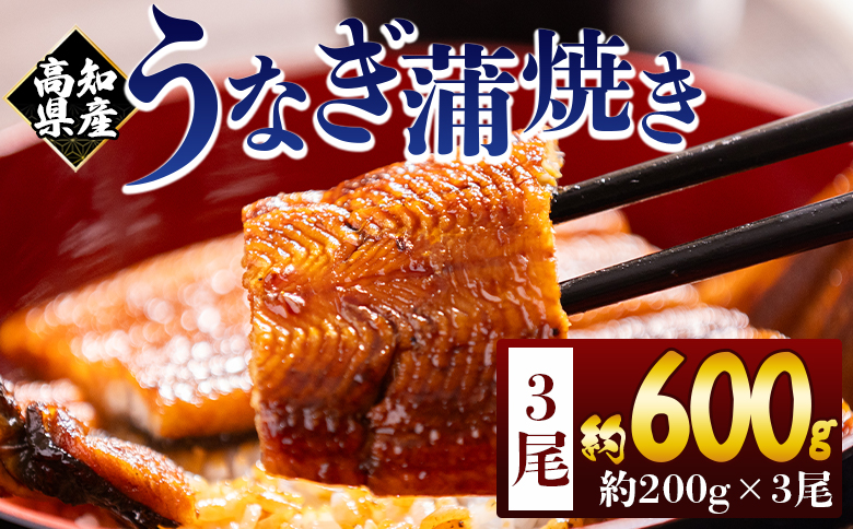 高知県産蒲焼きうなぎ 200g 3尾 計600g - 国産 鰻 ウナギ 養殖 かばやき タレ付き たれ おつまみ スタミナ 土用の丑の日 うな丼 うな重 丼ぶり 一品 おかず 香南市 冷凍 fb-0160