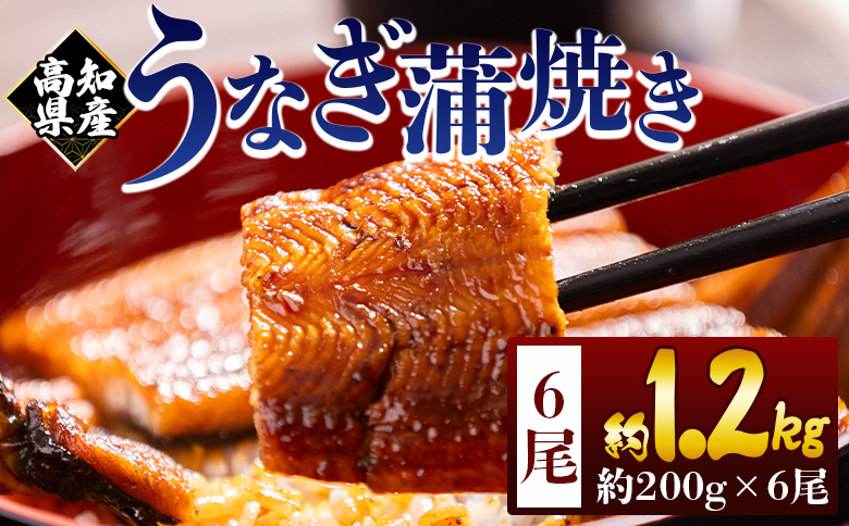 高知県産蒲焼きうなぎ 200g ６尾 計1200g - 国産 鰻 ウナギ 養殖 かばやき タレ付き たれ おつまみ スタミナ 土用の丑の日 うな丼 うな重 丼ぶり 一品 おかず 香南市 冷凍 fb-0163
