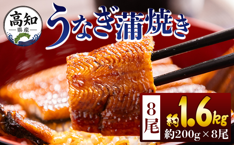 高知県産蒲焼きうなぎ 200g 8尾 計1600g - 国産 鰻 ウナギ 養殖 かばやき タレ付き たれ おつまみ スタミナ 土用の丑の日 うな丼 うな重 丼ぶり 一品 おかず 香南市 冷凍 fb-0164