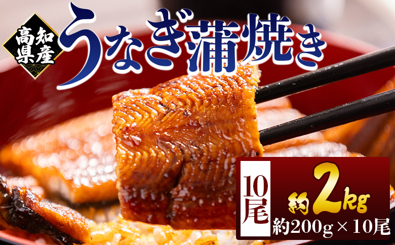 高知県産蒲焼きうなぎ 200g 10尾 計2000g - 国産 鰻 ウナギ 養殖 かばやき タレ付き たれ おつまみ スタミナ 土用の丑の日 うな丼 うな重 丼ぶり 一品 おかず 香南市 冷凍 fb-0165