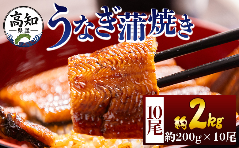 高知県産蒲焼きうなぎ 200g 10尾 計2000g - 国産 鰻 ウナギ 養殖 かばやき タレ付き たれ おつまみ スタミナ 土用の丑の日 うな丼 うな重 丼ぶり 一品 おかず 香南市 冷凍 fb-0165