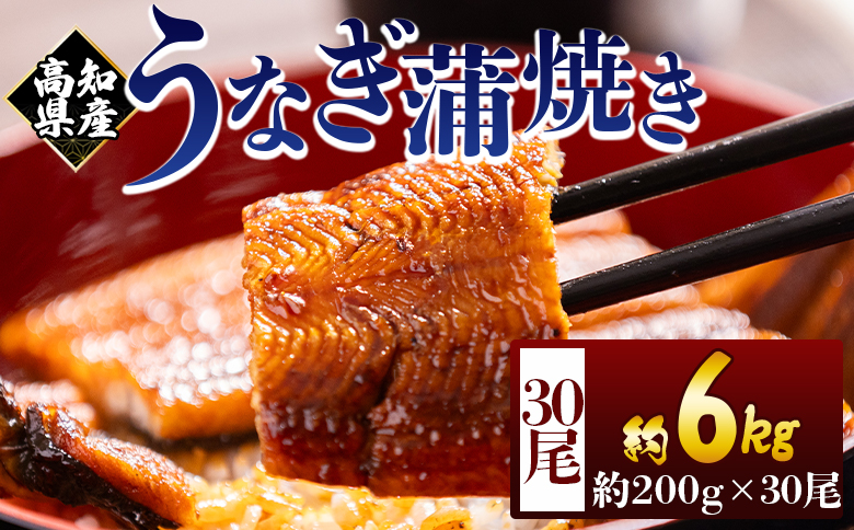 高知県産蒲焼きうなぎ 200g 30尾 計6000g - 国産 鰻 ウナギ 養殖 かばやき タレ付き たれ おつまみ スタミナ 土用の丑の日 うな丼 うな重 丼ぶり 一品 おかず 香南市 冷凍 fb-0189