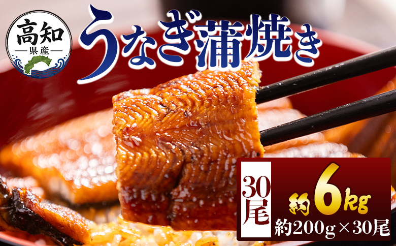高知県産蒲焼きうなぎ 200g 30尾 計6000g - 国産 鰻 ウナギ 養殖 かばやき タレ付き たれ おつまみ スタミナ 土用の丑の日 うな丼 うな重 丼ぶり 一品 おかず 香南市 冷凍 fb-0189