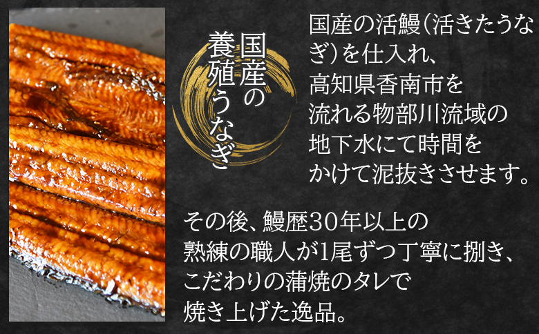 国産蒲焼きうなぎ 250g 10尾 計2500g - 国産 鰻 ウナギ 養殖 かばやき タレ付き たれ おつまみ スタミナ 土用の丑の日 うな丼 うな重 丼ぶり 一品 おかず 香南市 冷凍 fb-0173