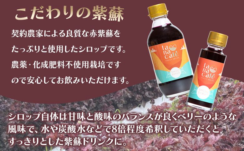 赤紫蘇シロップ100ml(１本) - シソ 赤しそ ジュース 飲料 ドリンク ソーダ割り カクテル スイーツ 濃縮 原液 希釈 農薬不使用 化学肥料不使用 合同会社タナカフェ 高知県 香南市 tc-0024