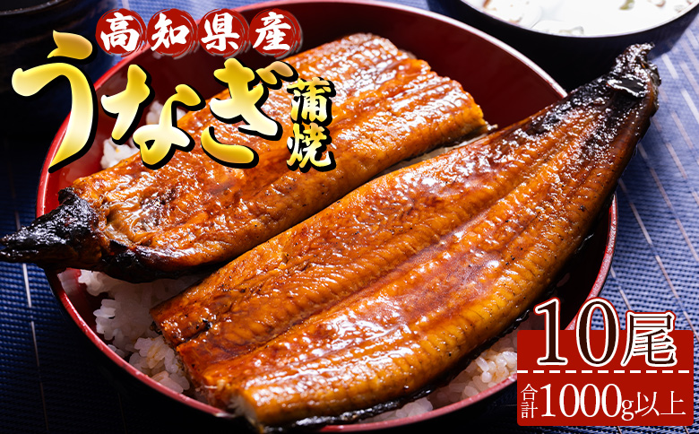 高知県産養殖うなぎ蒲焼 10尾(合計1000g以上) - 鰻 ウナギ 国産 蒲焼き かば焼き かばやき うな丼 うな重 ギフト お中元 御中元 父の日 お礼 御礼 感謝 贈答 贈り物 土用の丑の日 高知県 香南市 ss-0041