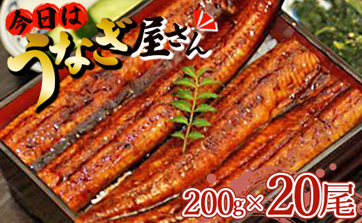 肉厚ふっくら香ばしい 台湾産養殖うなぎ蒲焼 20尾(合計4000g以上) ss-0031