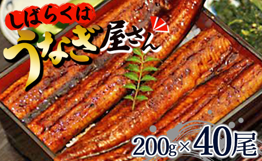 肉厚ふっくら香ばしい 台湾産養殖うなぎ蒲焼 40尾(合計約8000g) ss-0032
