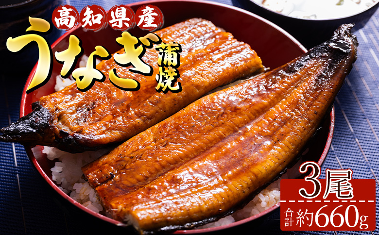 高知県産養殖うなぎ蒲焼き 3尾(合計約660g) - タレ付き たれ 丑の日 鰻 ウナギ かばやき 蒲焼き うな丼 うな重 送料無料 ギフト お中元 御中元 父の日 お礼 御礼 感謝 贈答 贈り物 須崎市道の駅 高知県 香南市 ss-0035