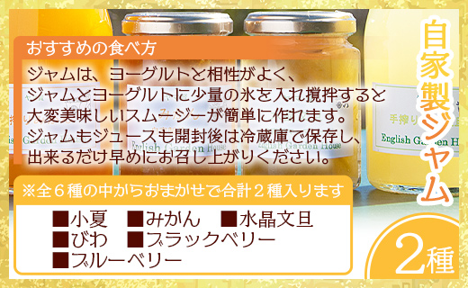 みかん農家の手搾り自家製ジュース(300ml×2種)と季節の自家製ジャム(2種)のおまかせセット - 詰め合わせ お楽しみ 飲料 濃縮2倍 柑橘 フルーツ 果物 ギフト 贈答用 常温 eh-0034