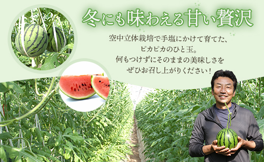 ãïŒåå®æäŸ¿ãã«ãã»ããšãã¹ã€ã«(äžç) 1ç - ãä»å€ã¯ããŸãã¬ãã«åãäžããããŸãã å®æäŸ¿ ããã æç© ãã ãã® ãã«ãŒã èµ€è èµ€ç 1å 2å ãžã¥ãŒã·ãŒ çã èŽççš ã®ãã ãç¥ã é«ç¥ç éŠååž åžžæž© Wyu-0036