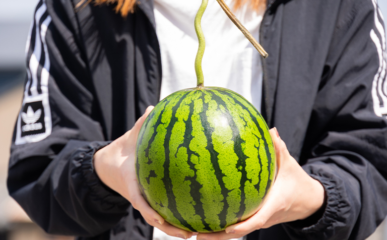 ãïŒåå®æäŸ¿ãã«ãã»ããšãã¹ã€ã«(äžç) 1ç - ãä»å€ã¯ããŸãã¬ãã«åãäžããããŸãã å®æäŸ¿ ããã æç© ãã ãã® ãã«ãŒã èµ€è èµ€ç 1å 2å ãžã¥ãŒã·ãŒ çã èŽççš ã®ãã ãç¥ã é«ç¥ç éŠååž åžžæž© Wyu-0036