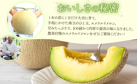 【３回定期便】夜須のエメラルドメロン 1玉 - テレビ朝日「ザワつく!金曜日」で特集 紹介 くだもの フルーツ ギフト マスクメロン 青肉 ギフト 贈答用 ご褒美 高級 お礼 御祝 産地直送 JA 高知県農業協同組合 香南市 常温 Wyu-0030
