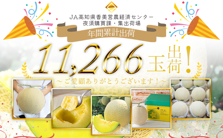 【３回定期便】夜須のエメラルドメロン 1玉 - テレビ朝日「ザワつく!金曜日」で特集 紹介 くだもの フルーツ ギフト マスクメロン 青肉 ギフト 贈答用 ご褒美 高級 お礼 御祝 産地直送 JA 高知県農業協同組合 香南市 常温 Wyu-0030