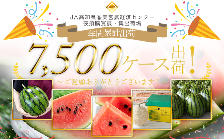 ãïŒåå®æäŸ¿ãã«ãã»ããšãã¹ã€ã«(倧ç) 1ç - ã¹ã€ã« é«ç¥çç£ ã«ãããšã ã®ãã èŽãç© ã®ã ãã«ãŒã倧奜ã è¥¿ç æç© å€ã®æç© é«ç¥ç éŠååž åžžæž© Wyu-0069