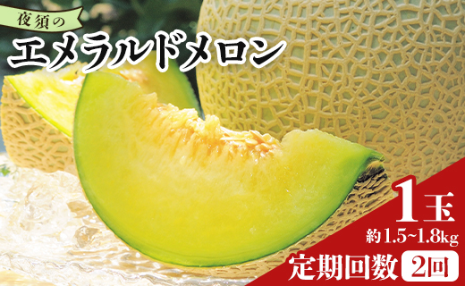 【２回定期便】夜須のエメラルドメロン 1玉 - テレビ朝日「ザワつく!金曜日」で特集 紹介 くだもの フルーツ ギフト マスクメロン 青肉 ギフト 贈答用 ご褒美 高級 お礼 御祝 産地直送 JA 高知県農業協同組合 香南市 常温 Wyu-0029
