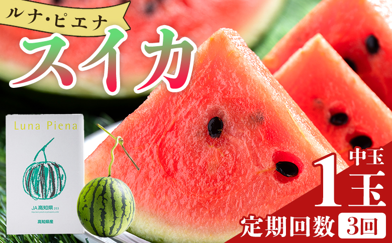 【３回定期便】ルナ・ピエナスイカ(中玉) 1玉 - 「今夜はナゾトレ」に取り上げられました 定期便 すいか 果物 くだもの フルーツ 赤肉 赤玉 1個 2個 ジューシー 甘い 贈答用 ギフト お祝い 高知県 香南市 常温 Wyu-0036