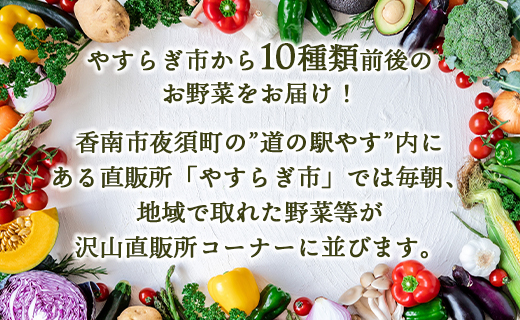 先行予約！産地直送やさいBOX - 野菜 ベジタブル おまかせ 詰め合わせ セット 季節 旬 お任せ 10種類前後 お楽しみ ヘルシー 国産 特産品 送料無料 やすらぎ市 高知県 香南市 冷蔵 yr-0011