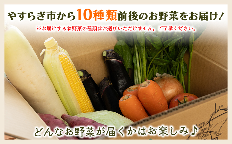 先行予約！産地直送やさいBOX - 野菜 ベジタブル おまかせ 詰め合わせ セット 季節 旬 お任せ 10種類前後 お楽しみ ヘルシー 国産 特産品 送料無料 やすらぎ市 高知県 香南市 冷蔵 yr-0011