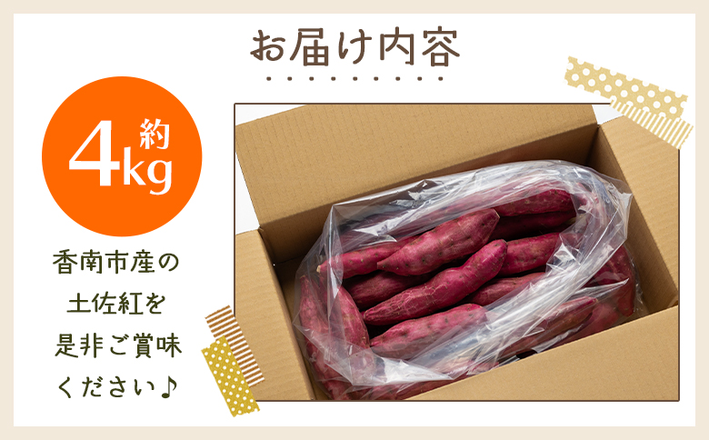 さつまいも（土佐紅）4kg - サツマイモ さつま芋 野菜 焼き芋 やきいも 焼いも おやつ スイーツ スイートポテト バター焼き アレンジ 料理 国産 高知県 香南市 yr-0044