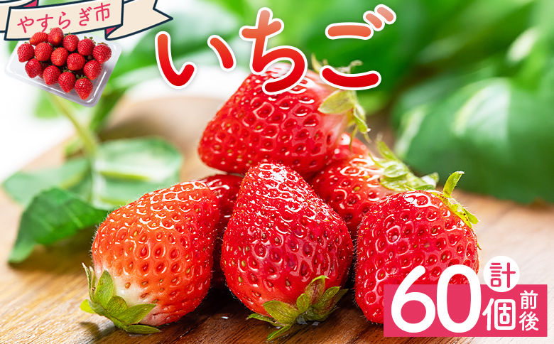 いちご 4パック（各パック15～18個） 計60個程度  - いちご イチゴ 苺 ストロベリー 青果 果物 採れたて 新鮮 フルーツ あまえくぼ さちのか 紅ほっぺ べにほっぺ やすらぎ市 高知県 香南市 冷蔵 国産 パック 包装  yr-0054