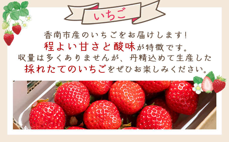 いちご 4パック（各パック15～18個） 計60個程度  - いちご イチゴ 苺 ストロベリー 青果 果物 採れたて 新鮮 フルーツ あまえくぼ さちのか 紅ほっぺ べにほっぺ やすらぎ市 高知県 香南市 冷蔵 国産 パック 包装  yr-0054