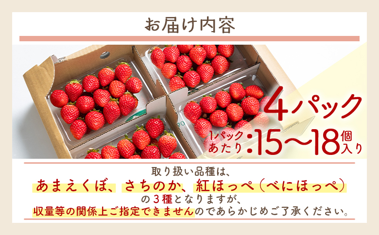 いちご 4パック（各パック15～18個） 計60個程度  - いちご イチゴ 苺 ストロベリー 青果 果物 採れたて 新鮮 フルーツ あまえくぼ さちのか 紅ほっぺ べにほっぺ やすらぎ市 高知県 香南市 冷蔵 国産 パック 包装  yr-0054