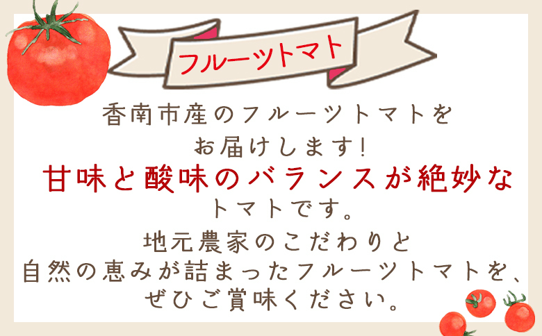 【2027年1月以降発送】フルーツトマト 4kg 家庭用 - 国産 青果 野菜 トマト 訳あり ご家庭用 甘い 酸味 不揃い 傷 やすらぎ市 高知県 香南市 冷蔵 yr-0069